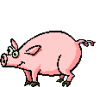 George the Pigman